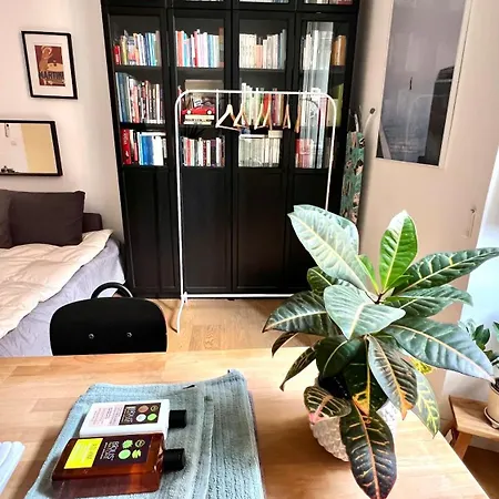 Stanza Xl In Zona Homestay